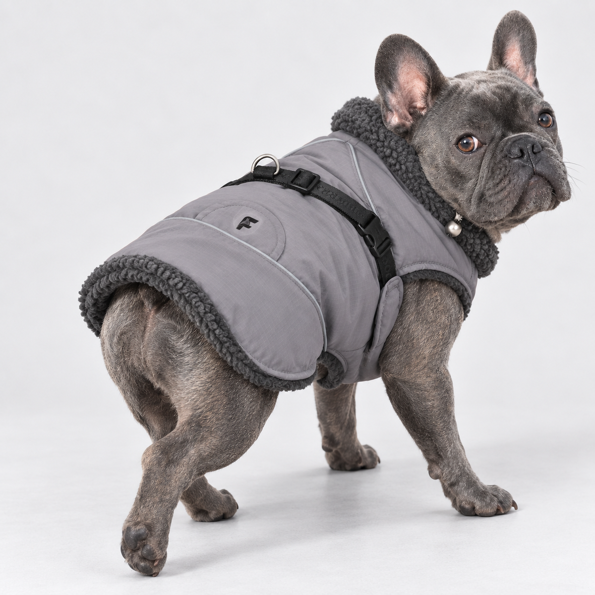Adjustable High-Neck French Bulldog Winter Jacket — Grey product photo