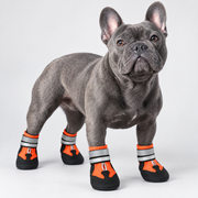 Blue French Bulldog wearing orange AquaGrip waterproof boots