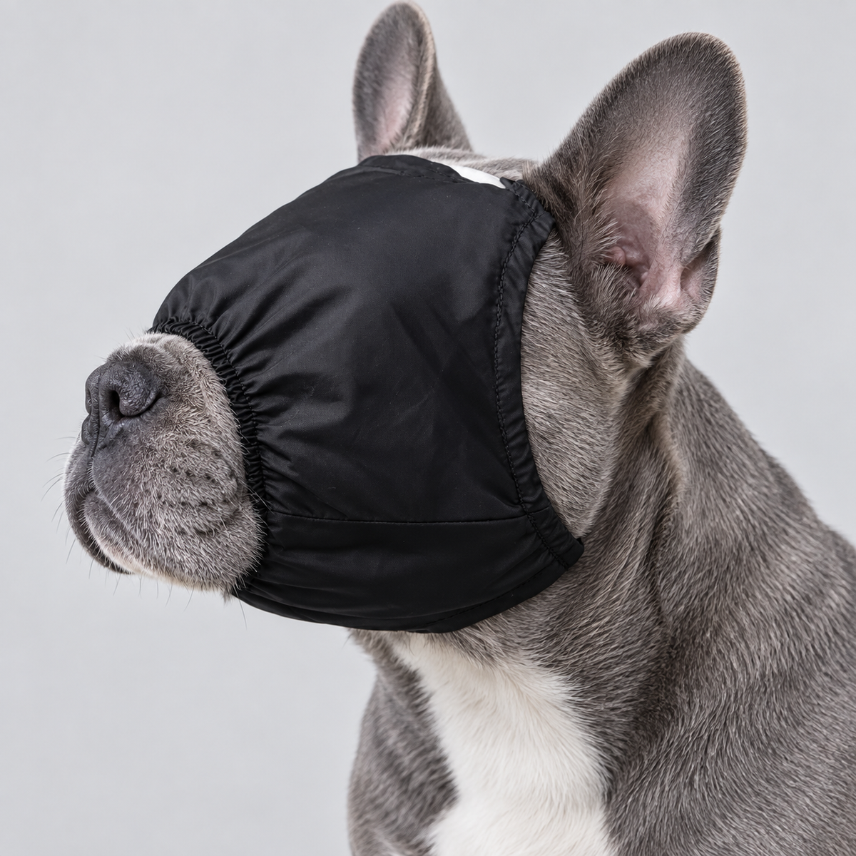 black dog eye cover frenchie