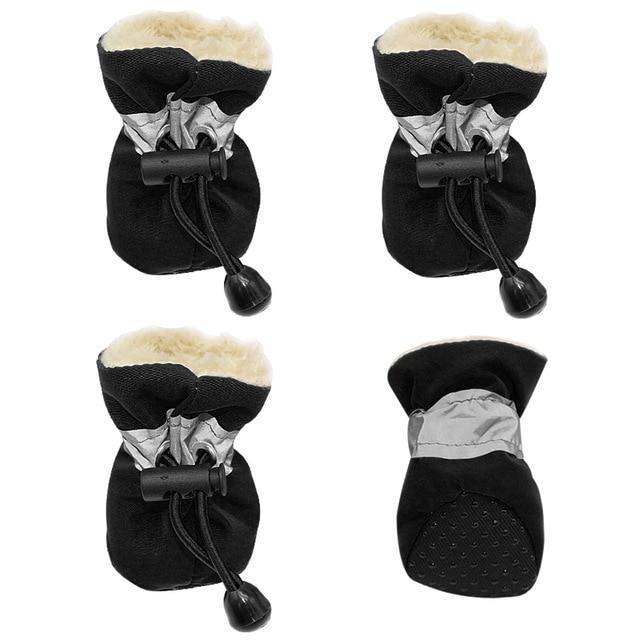 booties for french bulldogs