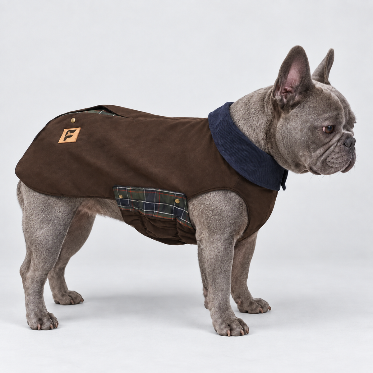 French Bulldog Barn Jacket with The Frenchie Shop logo