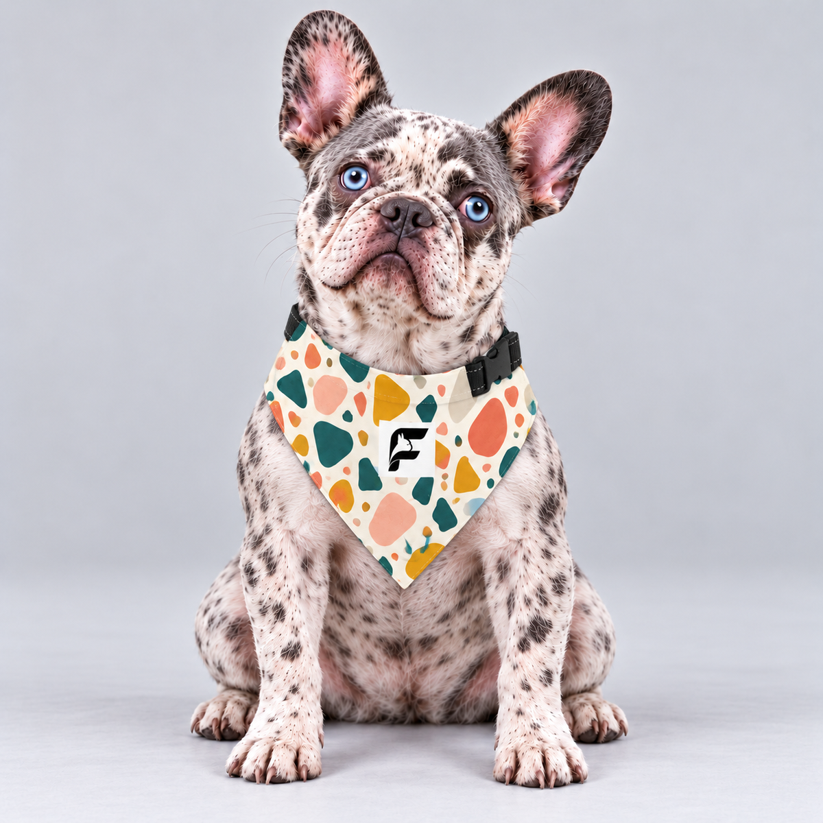 Sunset Terrazzo double-sided buckle bandana, front view on our Frenchie model