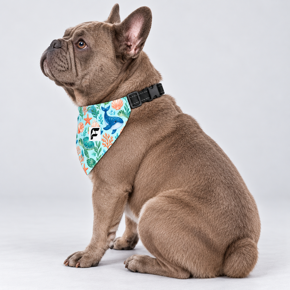 Ocean Friends double-sided buckle bandana, side view on our Frenchie model