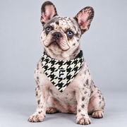 Monochrome Houndstooth double-sided buckle bandana, front view on our Frenchie model