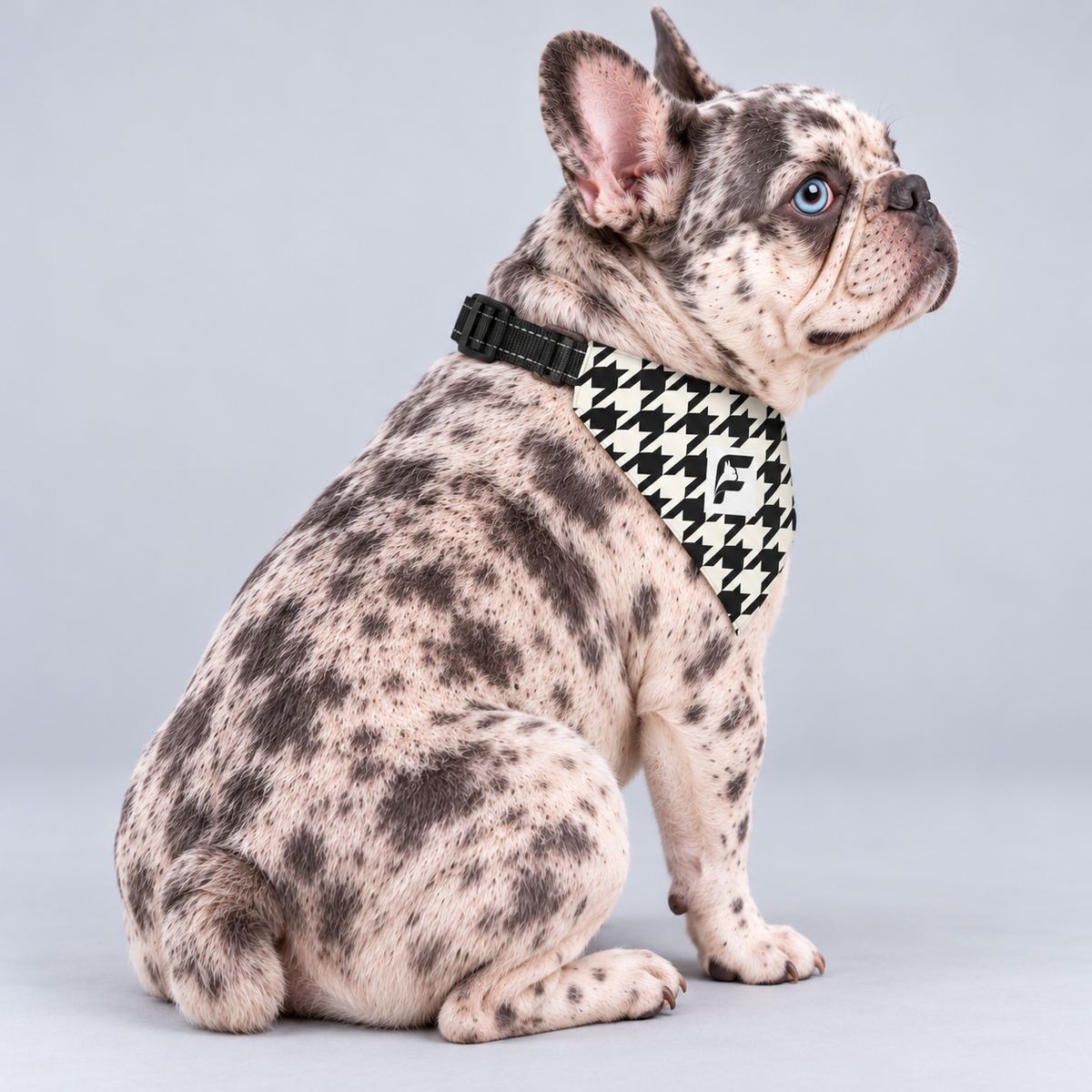 Monochrome Houndstooth double-sided buckle bandana, side view on our Frenchie model