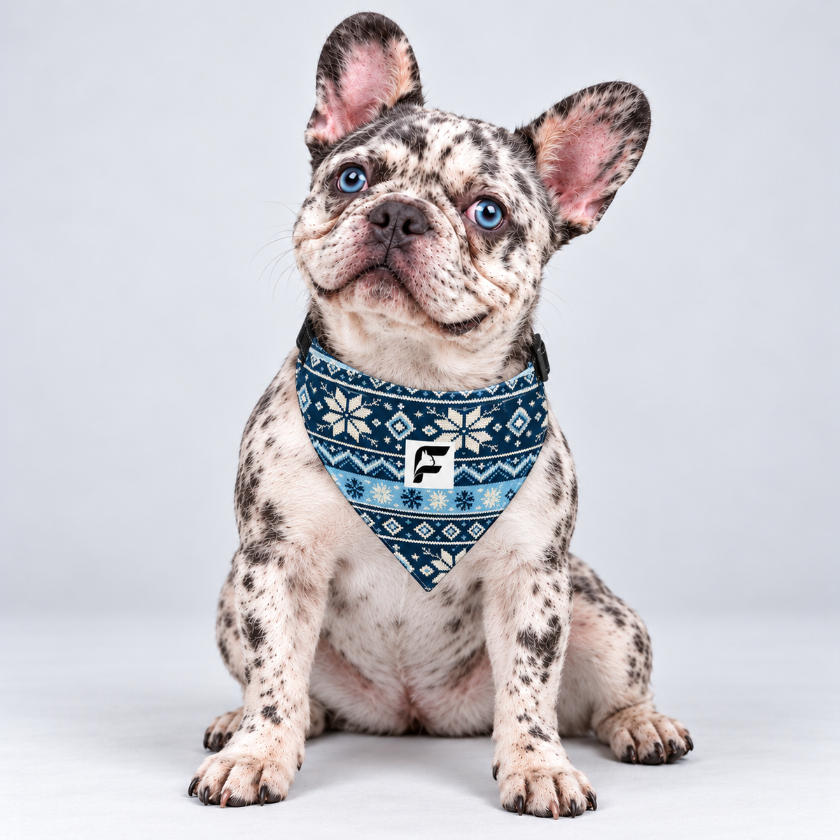Snowflake Nordic double-sided buckle bandana, front view on our Frenchie model
