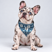 Snowflake Nordic double-sided buckle bandana, front view on our Frenchie model