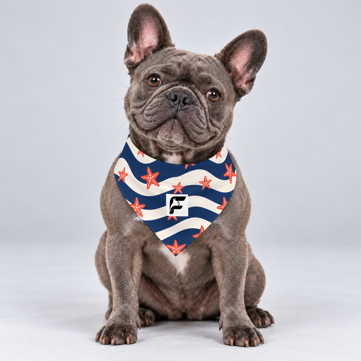 Coastal Stripes double-sided buckle bandana, front view on our Frenchie model