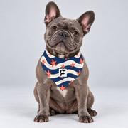 Coastal Stripes double-sided buckle bandana, front view on our Frenchie model