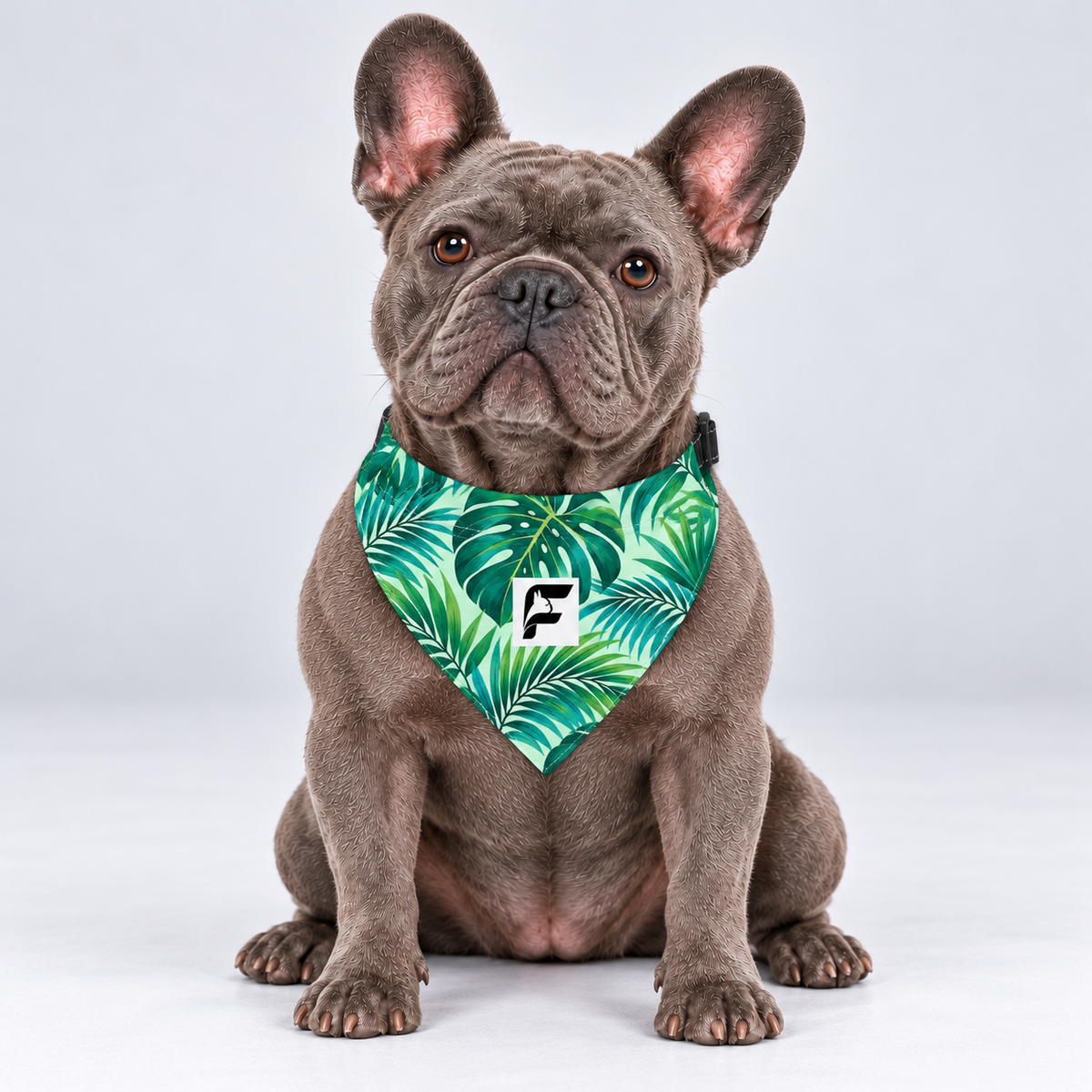 Tropical Palms double-sided buckle bandana, front view on our Frenchie model