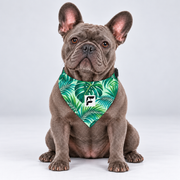 Tropical Palms double-sided buckle bandana, front view on our Frenchie model