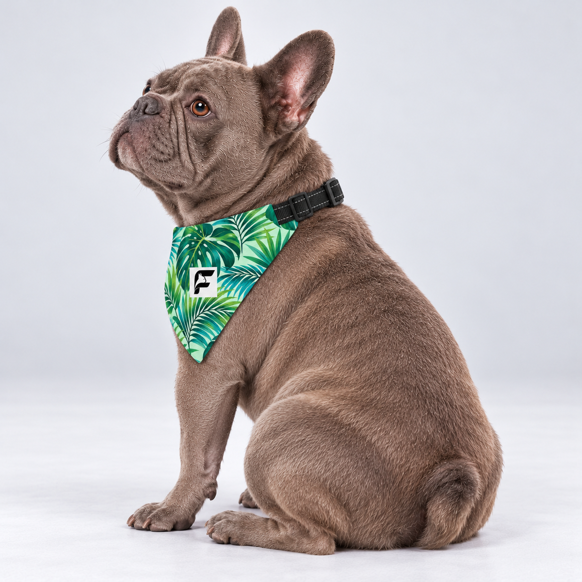 Tropical Palms double-sided buckle bandana, side view on our Frenchie model
