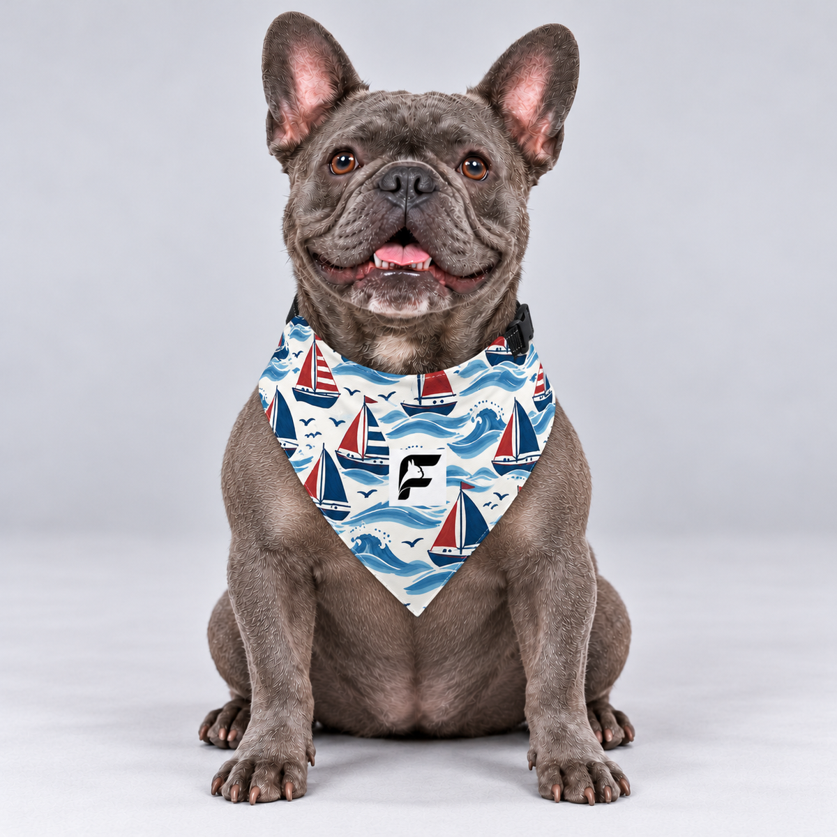 Little Sailboats double-sided buckle bandana, front view on our Frenchie model