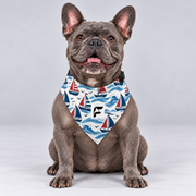 Little Sailboats double-sided buckle bandana, front view on our Frenchie model