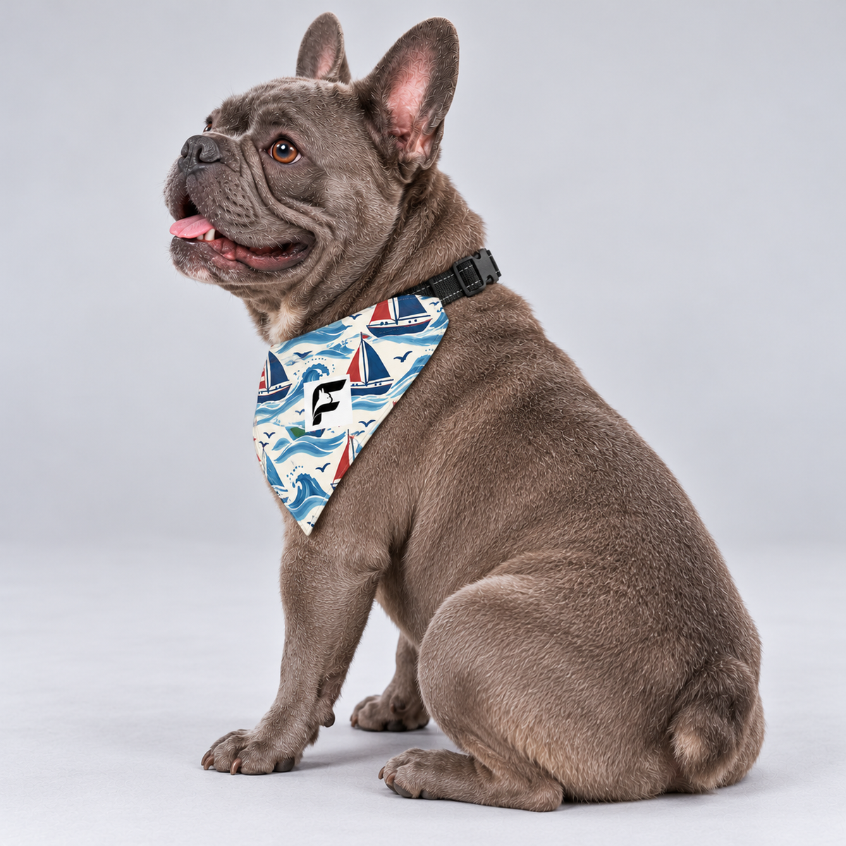 Little Sailboats double-sided buckle bandana, side view on our Frenchie model