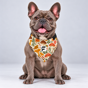 Woodland Mushrooms double-sided buckle bandana, front view on our Frenchie model
