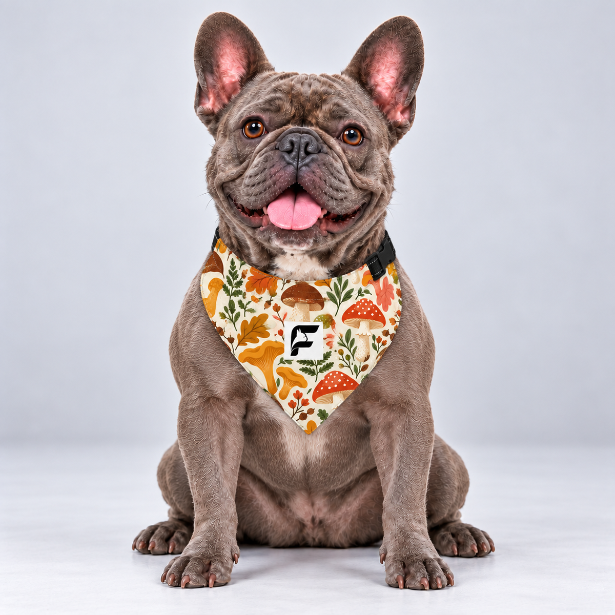 Woodland Mushrooms double-sided buckle bandana, front view on our Frenchie model