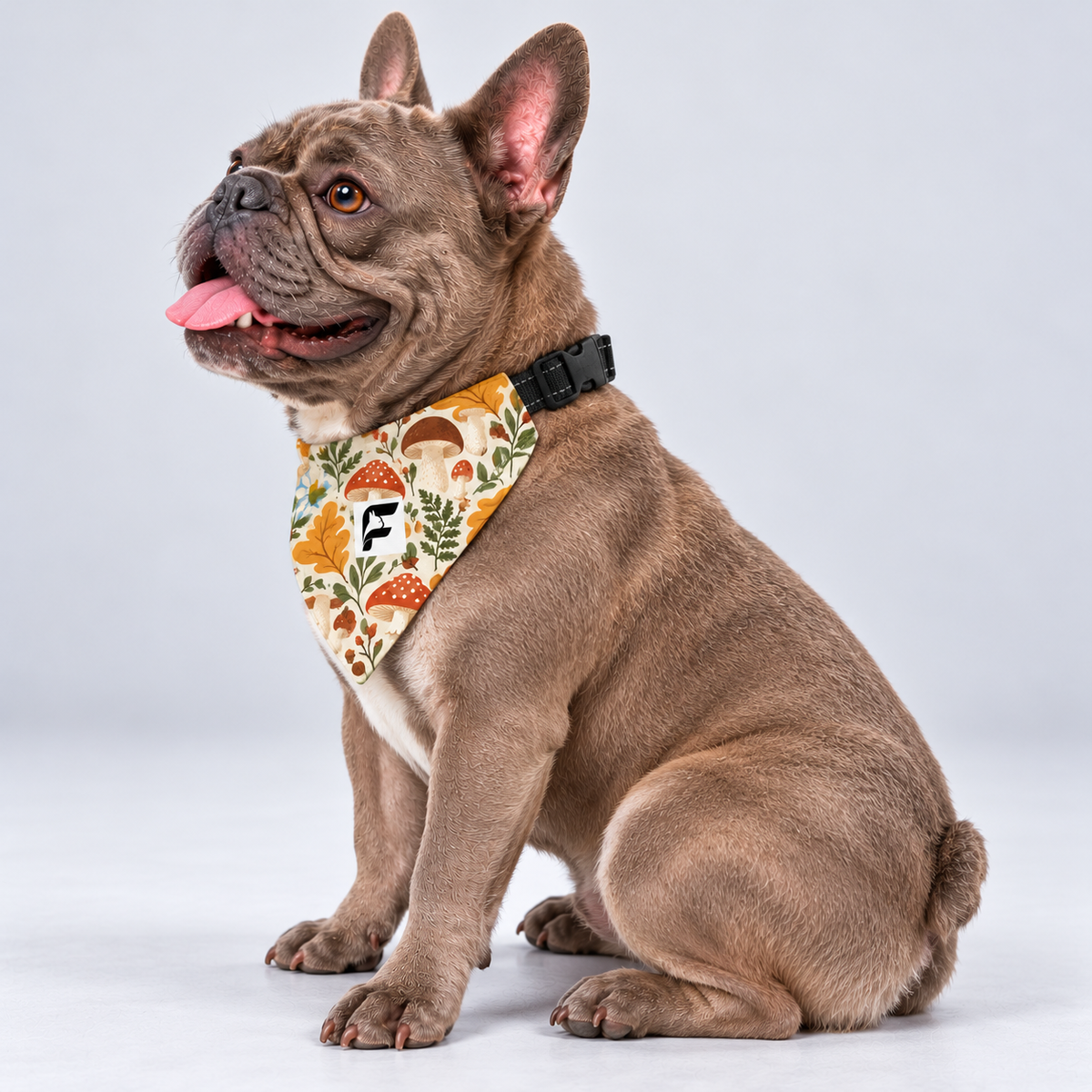 Woodland Mushrooms double-sided buckle bandana, side view on our Frenchie model