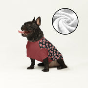 French Bulldog Wool Sweater | The Frenchie Shop Custom Print Cozy Knit