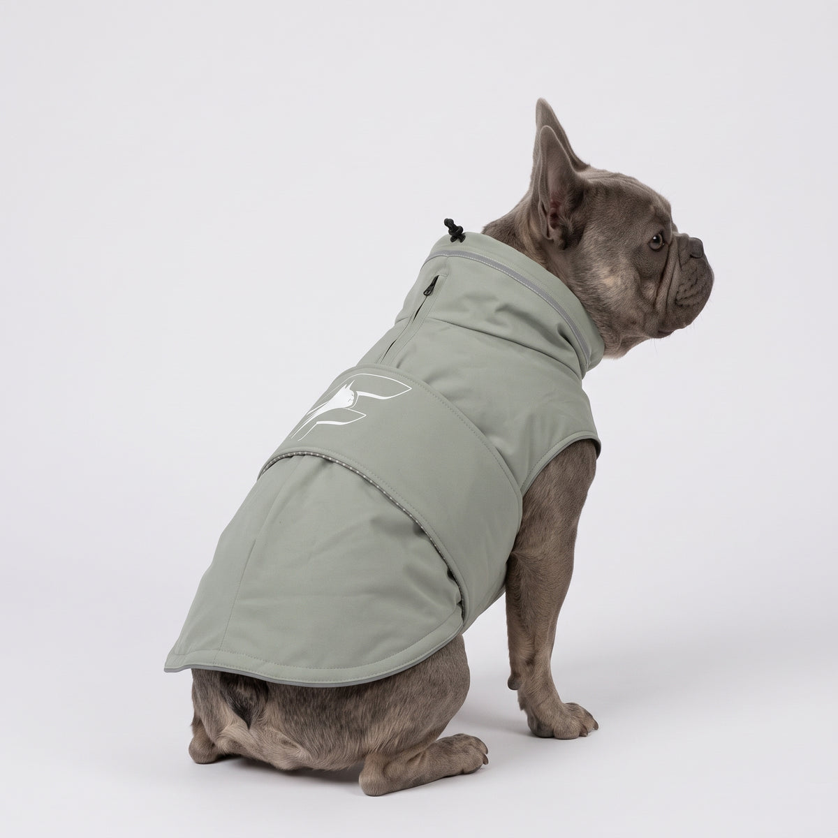 Frenchie WildGuard Rain Coat – Waterproof Raincoat for French Bulldogs (Mist Sage)