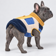 Colorblock Fleece French Bulldog Winter Vest — Blue, French Bulldog studio photo