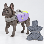 Colourblock French Bulldog Life Jacket — Neon Yellow / Purple + Grey Towel — Frenchie wearing product