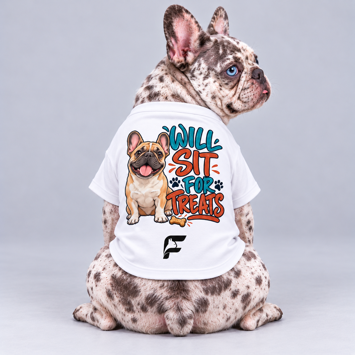 Will Sit for Treats cotton dog T-shirt, back view on our Frenchie model with signature logo