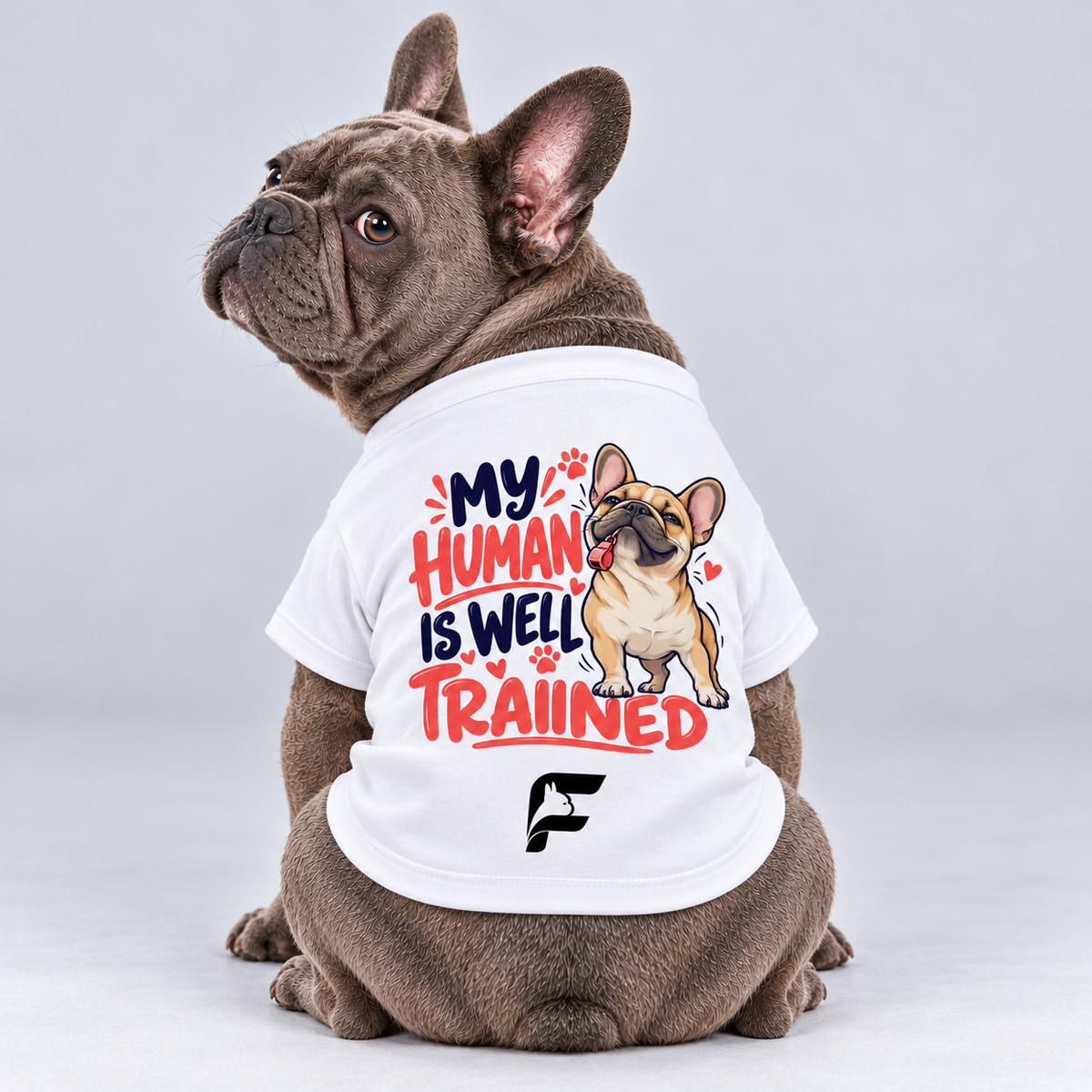 My Human Is Well Trained cotton dog T-shirt, back view on our Frenchie model with signature logo