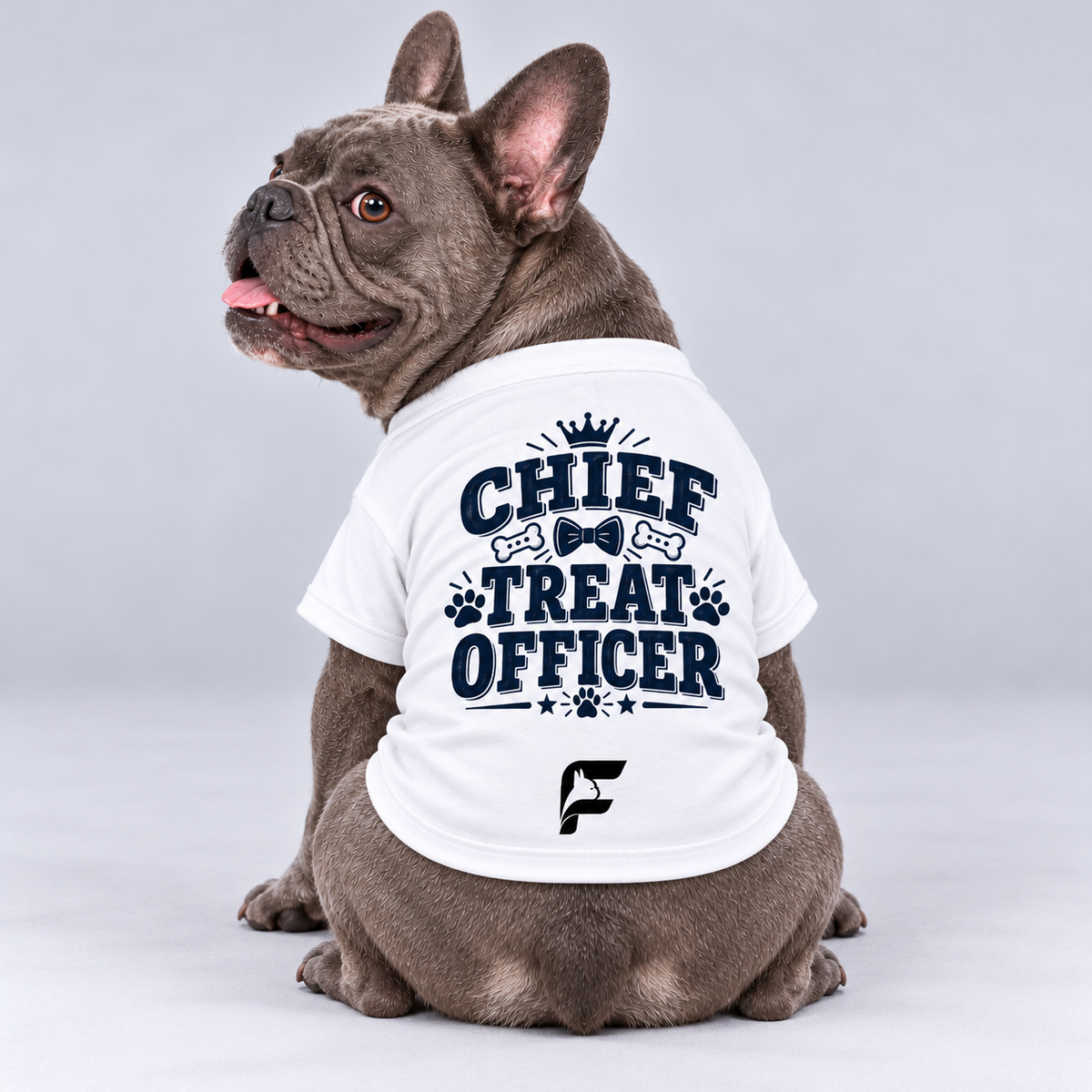 Chief Treat Officer cotton dog T-shirt, back view on our Frenchie model with signature logo