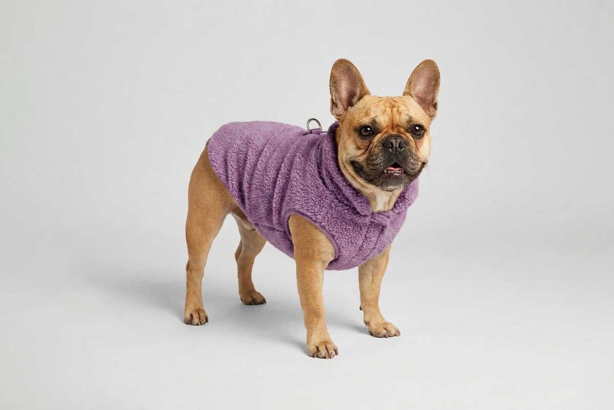 The frenchie shop