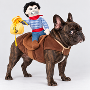 French Bulldog Cowboy Halloween Costume