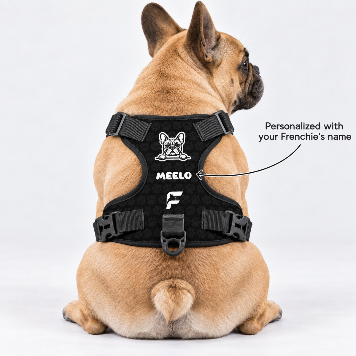 Personalized No-Pull French Bulldog Dog Harness