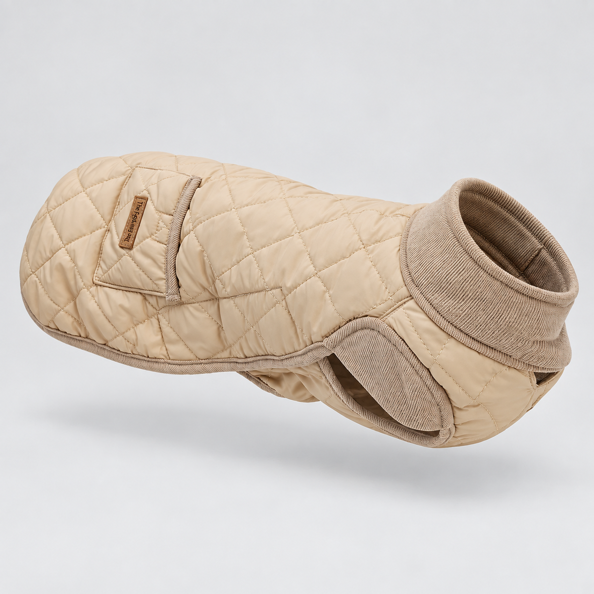 Dachshund Winter Coat — Beige studio photo