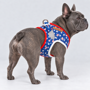 Denim Vest French Bulldog Harness — Blue — Frenchie wearing product