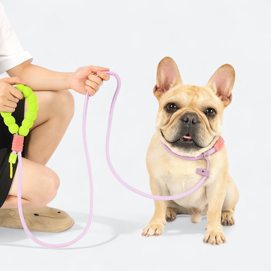 French Bulldog Cloud Bubble Leash | Frenchie Adjustable Comfort Leash