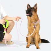 French Bulldog Cloud Bubble Leash | Frenchie Adjustable Comfort Leash