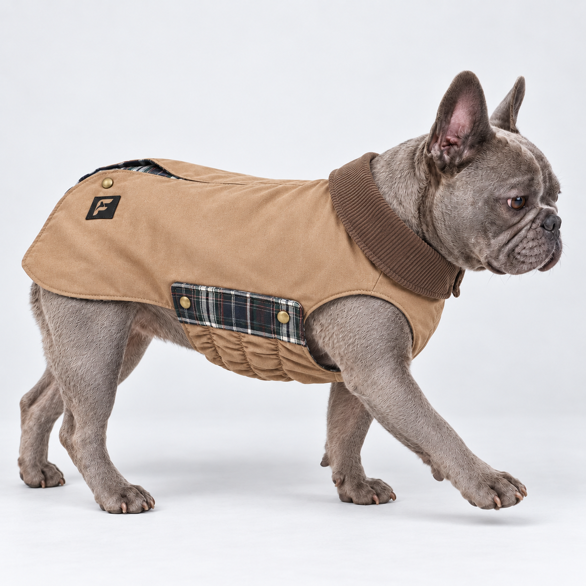 French Bulldog Barn Jacket — Khaki product photo