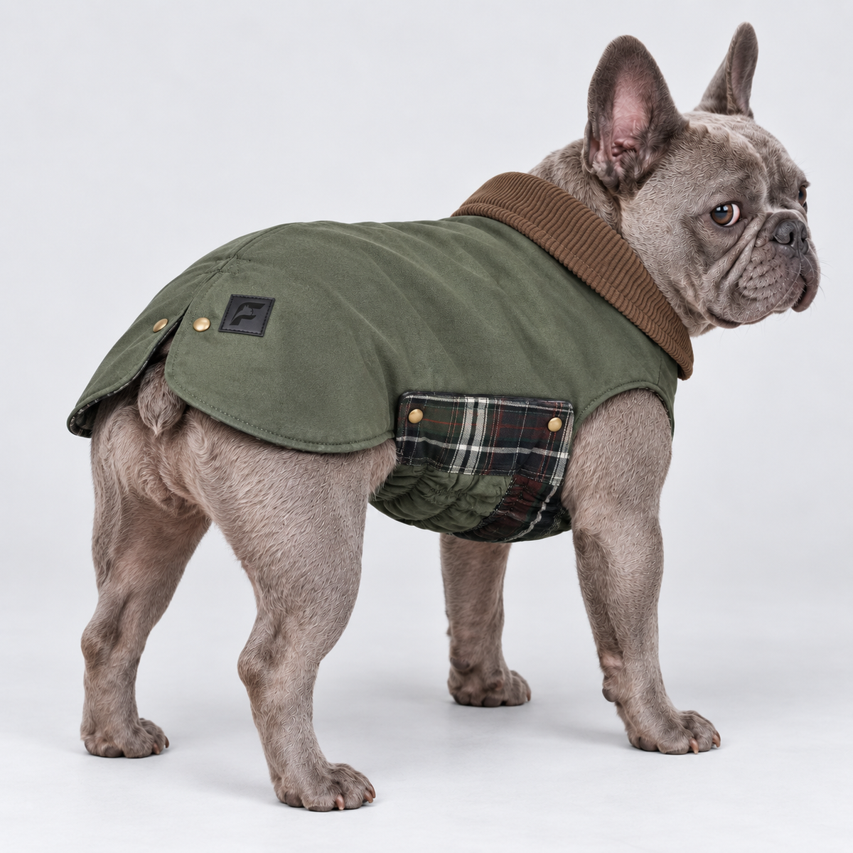 French Bulldog Barn Jacket — Olive product photo