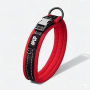 French Bulldog Reflective Soft Padded Collar | Frenchie Comfort Night Collar