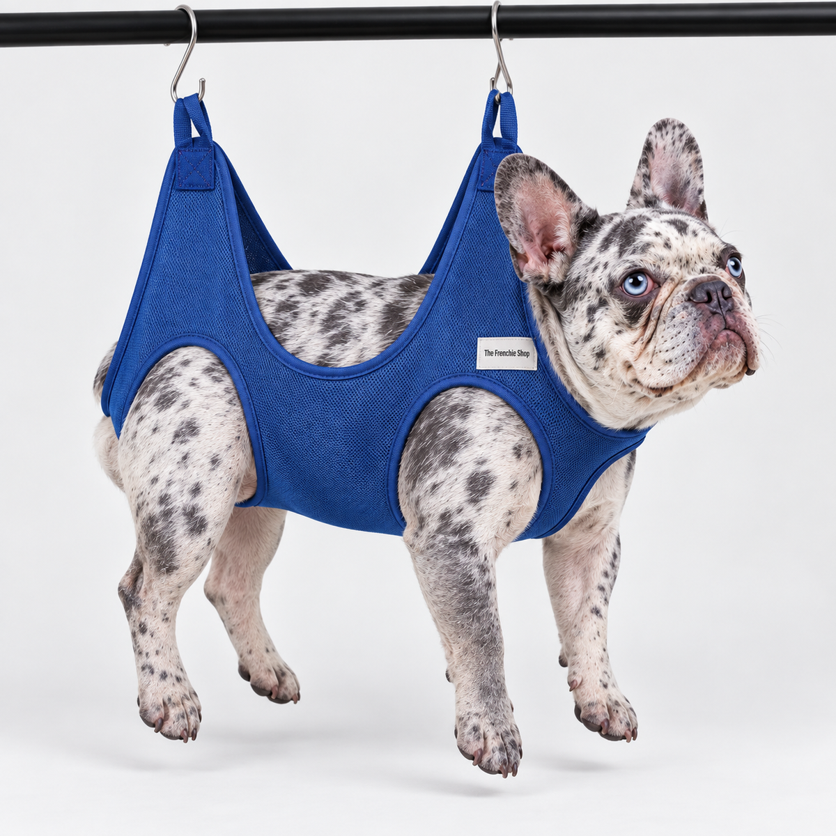 French Bulldog Grooming Hammock – Mesh & Fleece Styles — Navy – Mesh studio photo