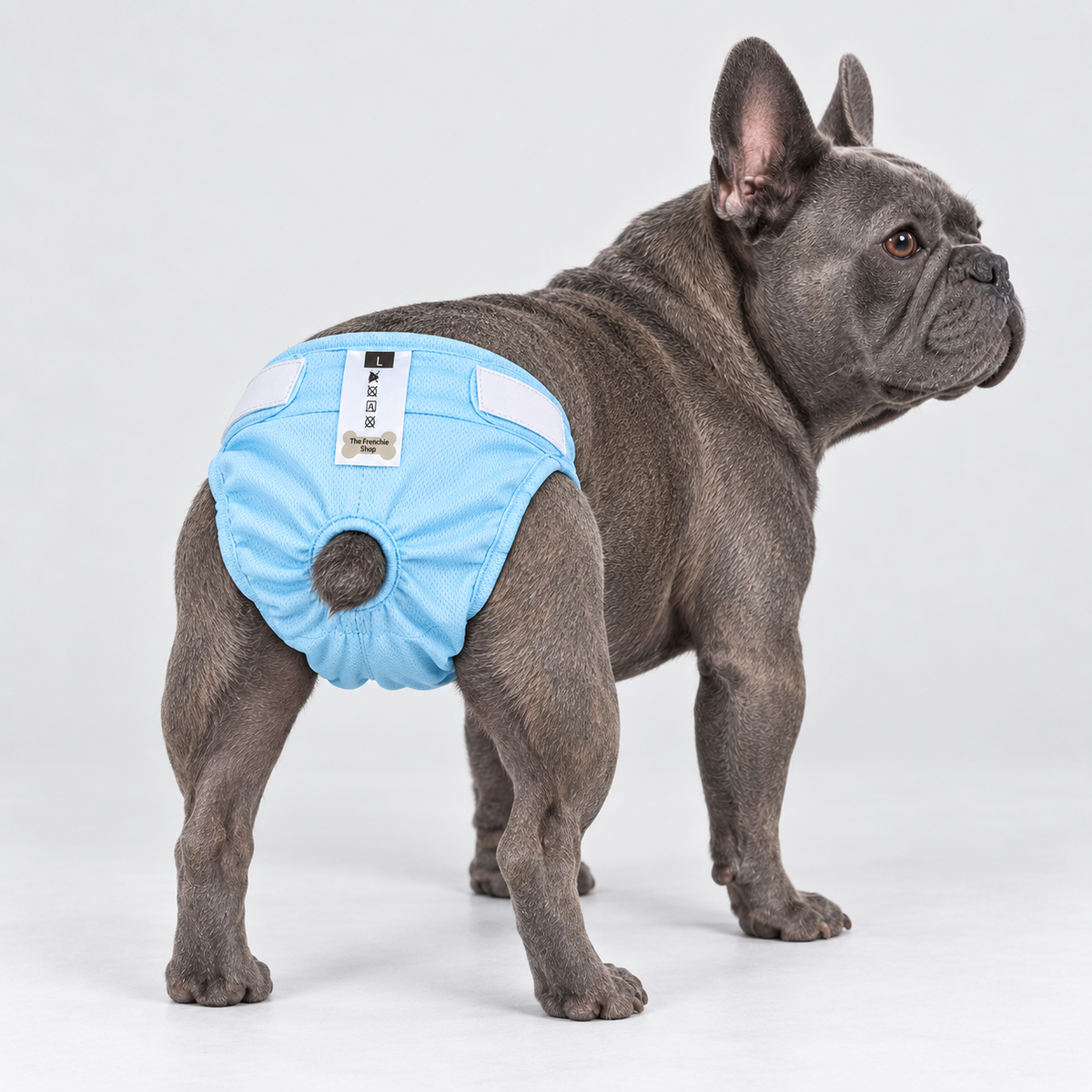 French Bulldog Hygiene Pants — Light Blue — Frenchie wearing product