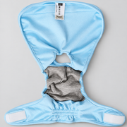 French Bulldog Hygiene Pants — Light Blue studio photo