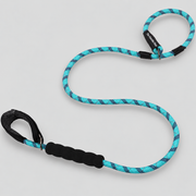 French Bulldog Training Slip Leash — Blue studio photo