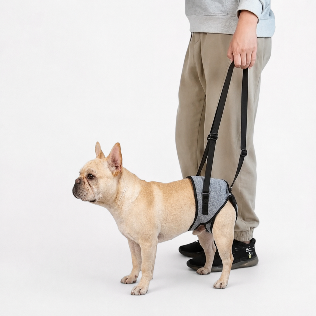 Rear-leg lift harness for Frenchies with a padded sponge handle above the hips