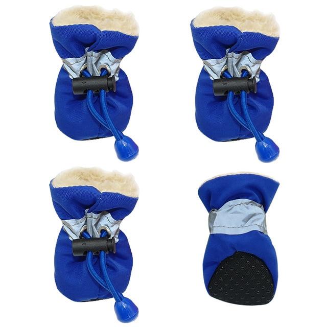 dog shoes for frenchies