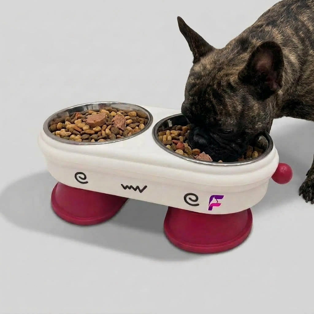 double-bowl-stand-food-water.jpg