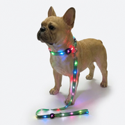 French Bulldog LED Luminous Collar & Leash Set | Frenchie Glow Walk Set