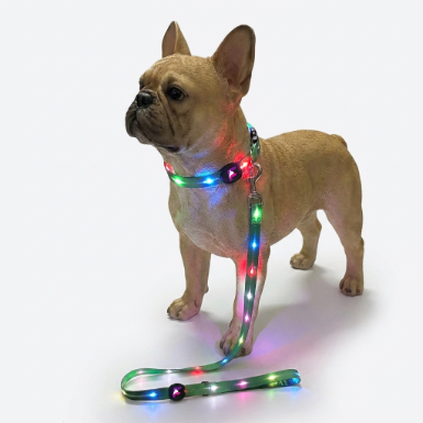 French Bulldog LED Luminous Collar & Leash Set | Frenchie Glow Walk Set