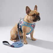 French Bulldog Soft Saddle Harness & Leash Set | Frenchie Padded Saddle Set