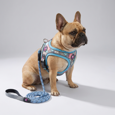 French Bulldog Soft Saddle Harness & Leash Set | Frenchie Padded Saddle Set